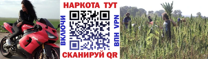 ГАШ Осташков