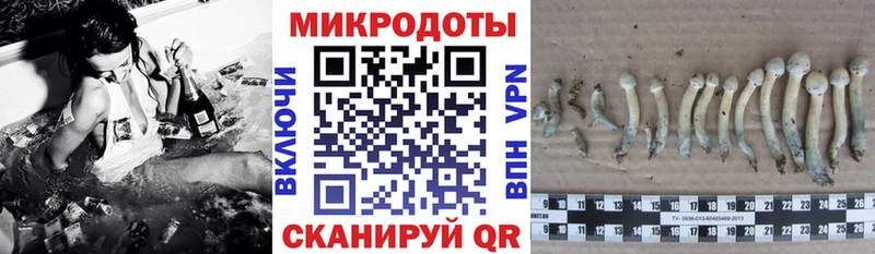 Галлюциногенные грибы GOLDEN TEACHER  Осташков 